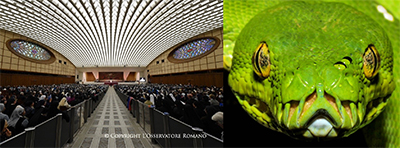 Inside Pope VI Papal Audience Hall