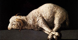 Sacrifice